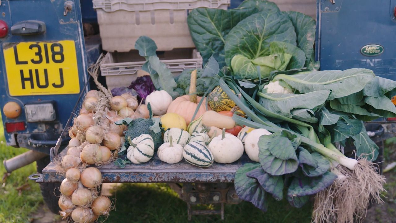 Storing and freezing