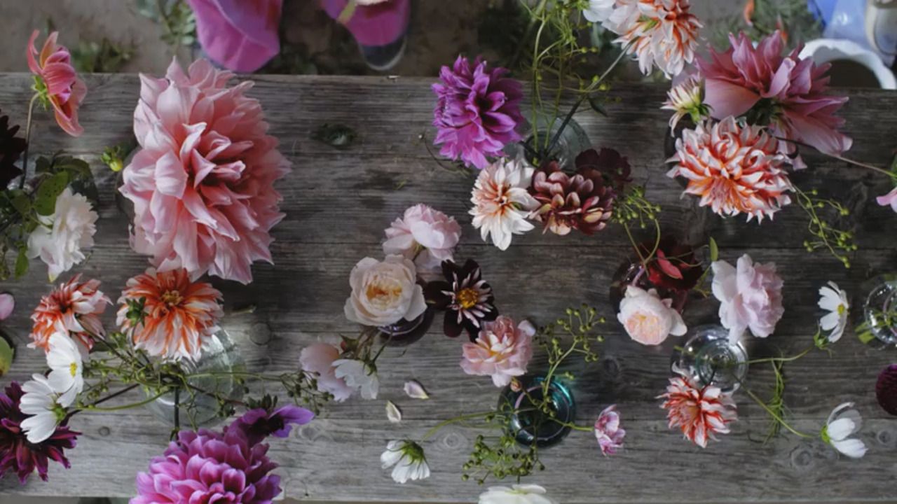 A dahlia arrangement for a table