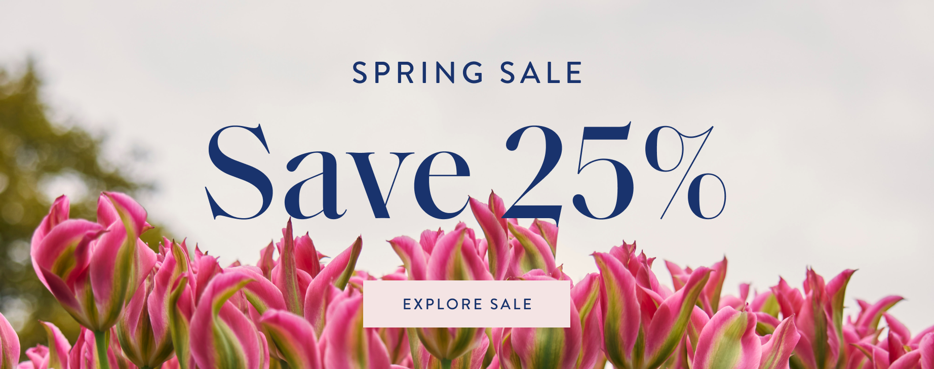 SPRING SALE