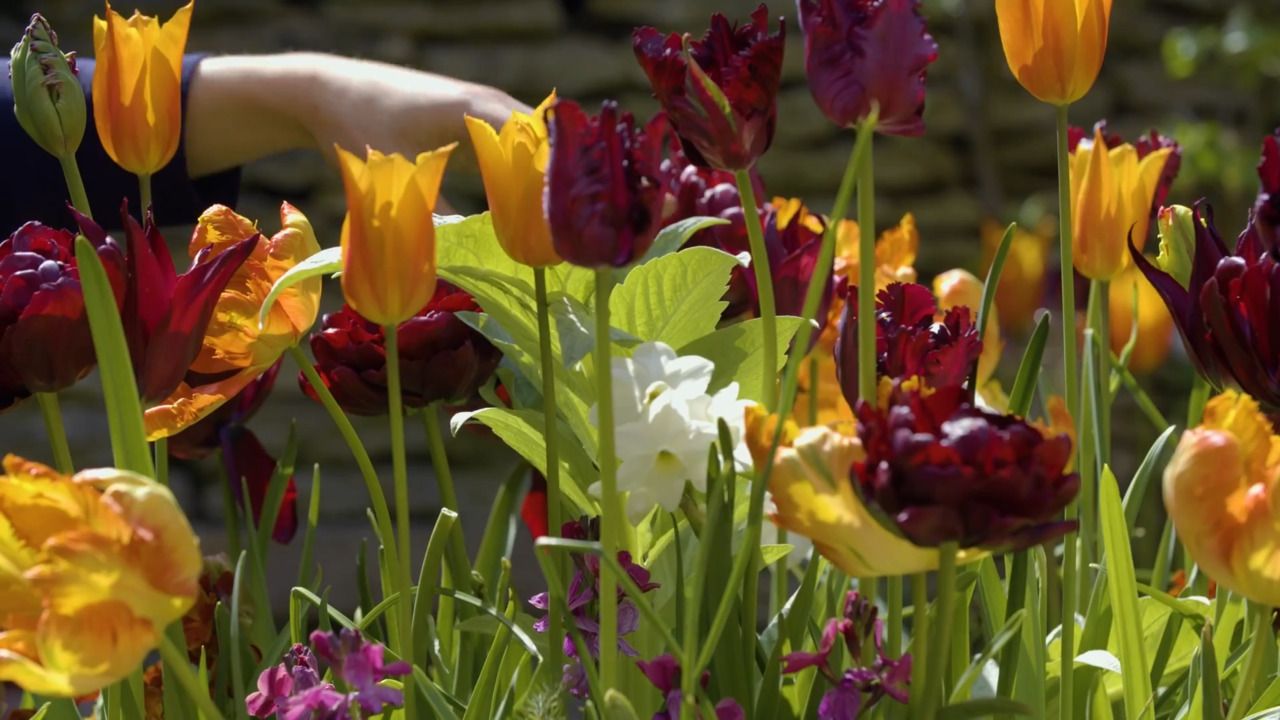 Cutting from the garden - part 1