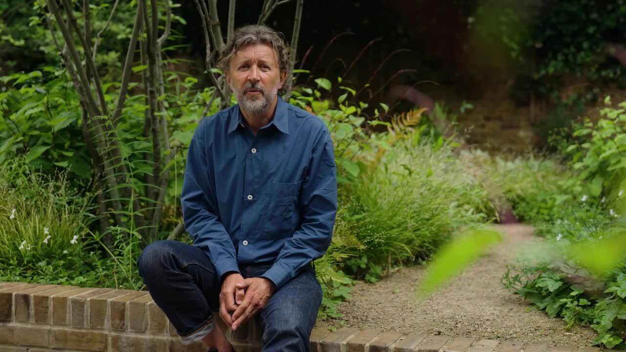 The shady back garden