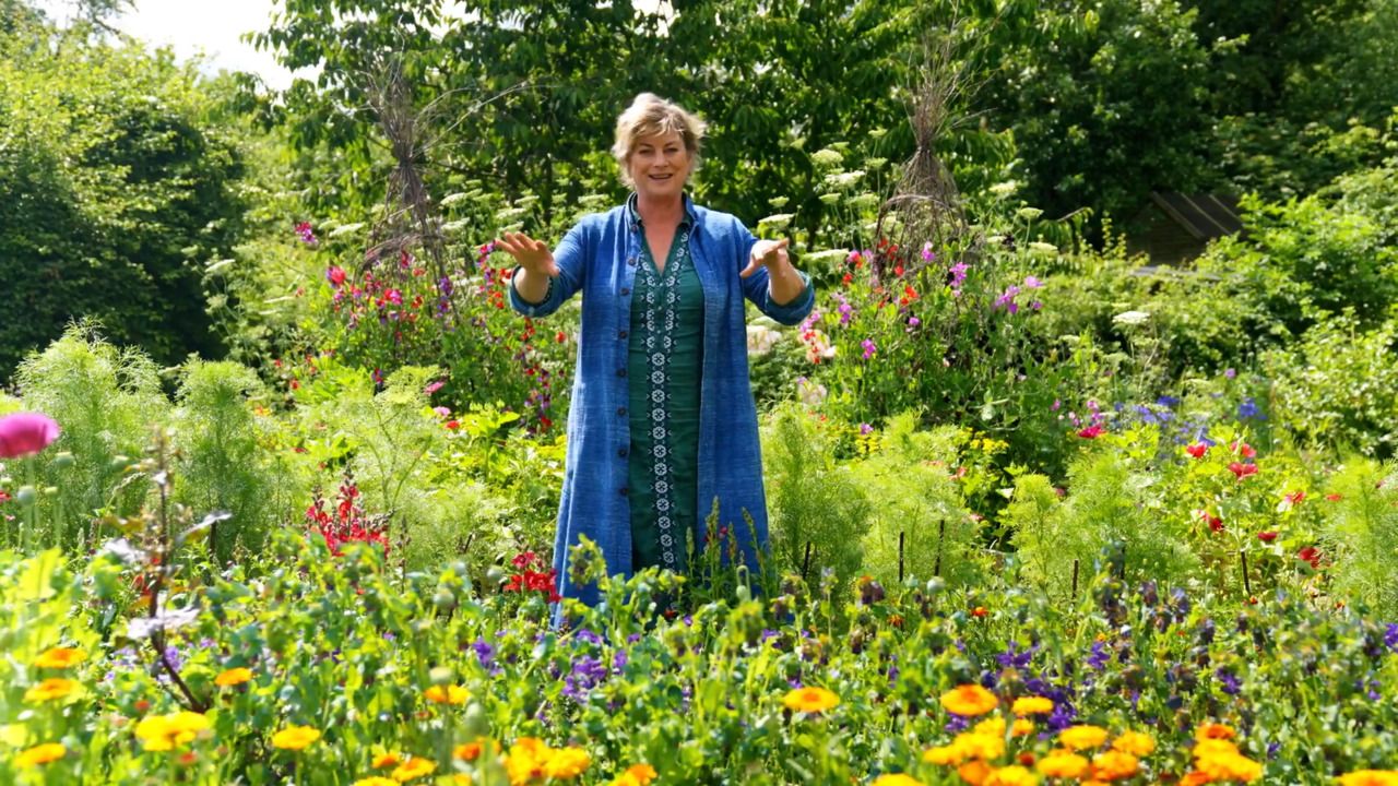 The cutting patch in June