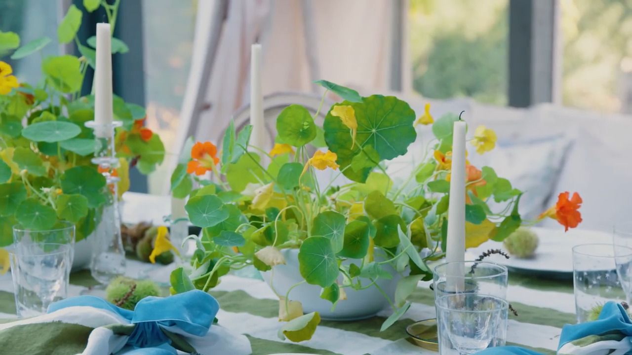  A nasturtium table 