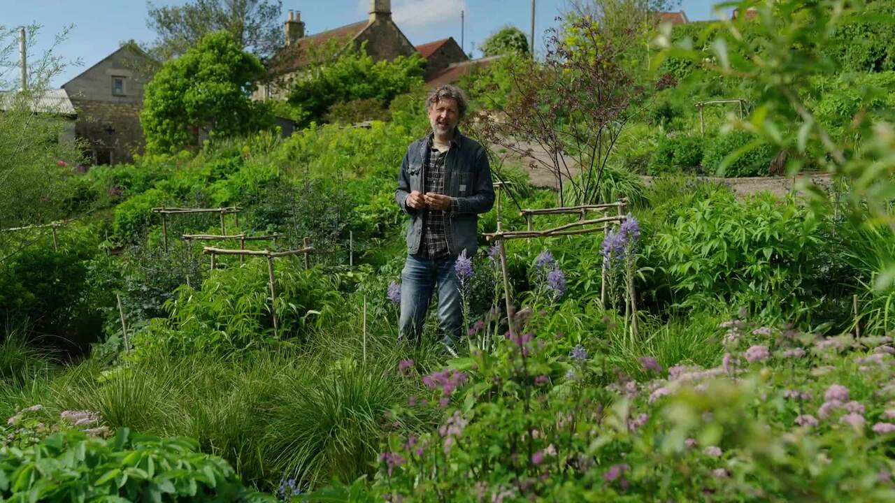 Naturalistic planting layout