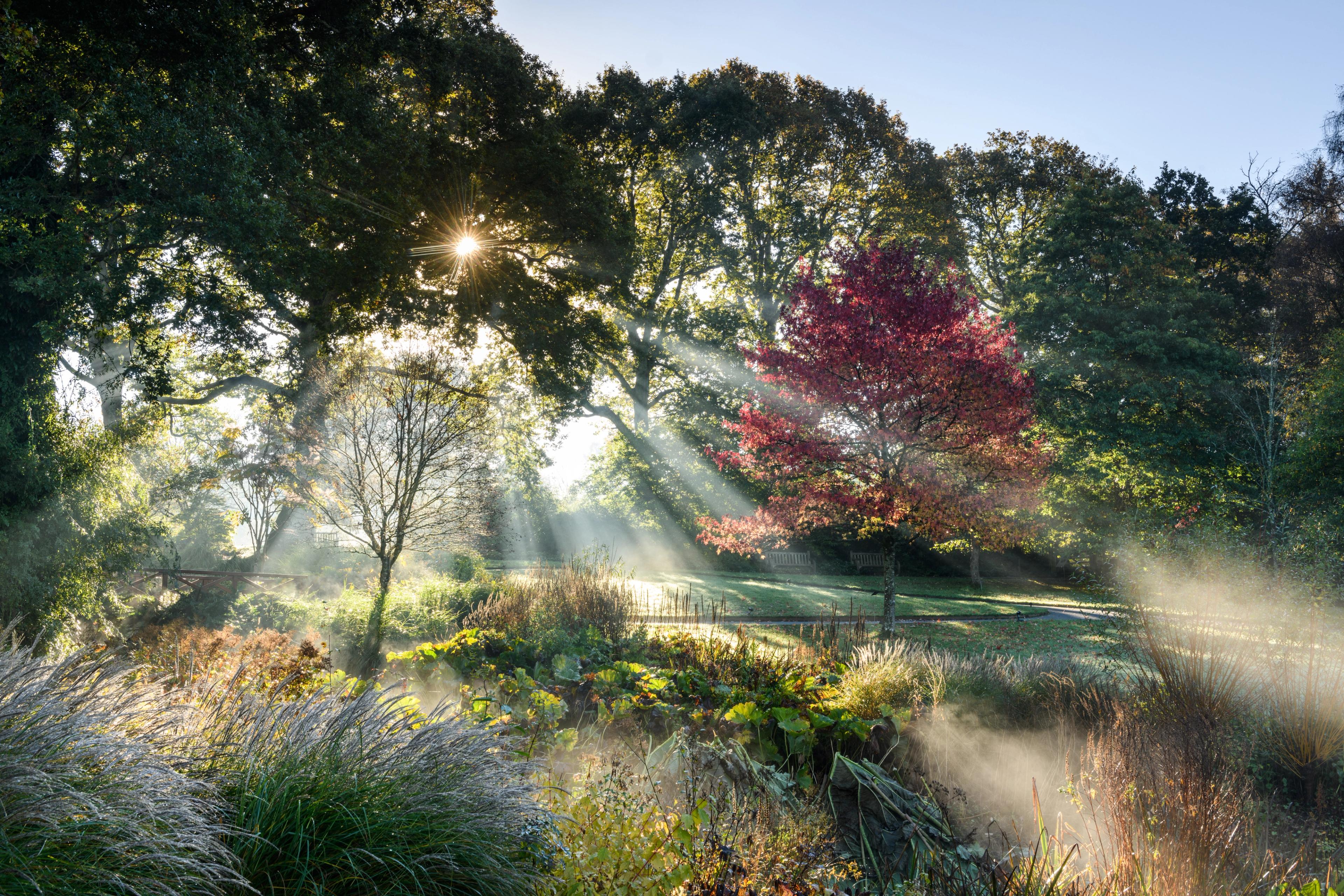autumn