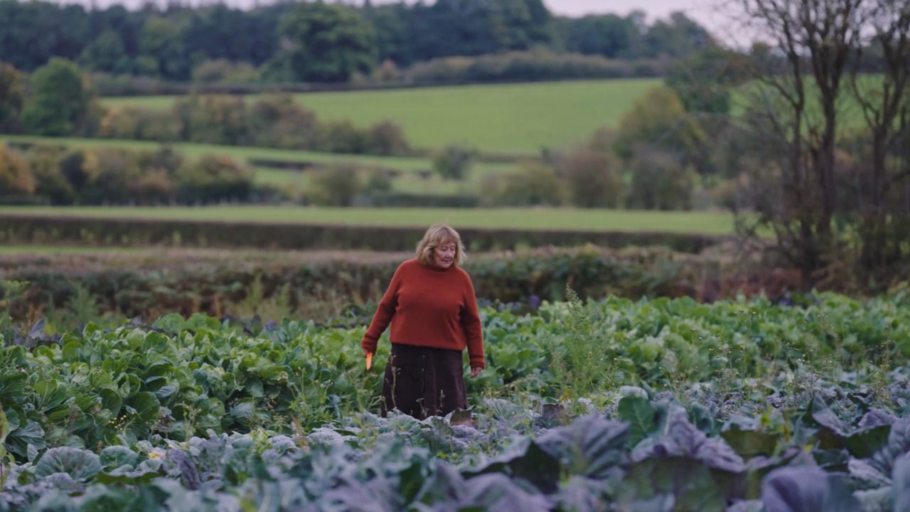 How to plan your plot - Part 1: Amounts and spacing 