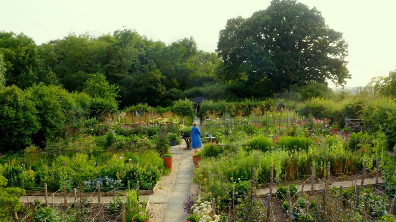Picking and arranging with Ammi majus 