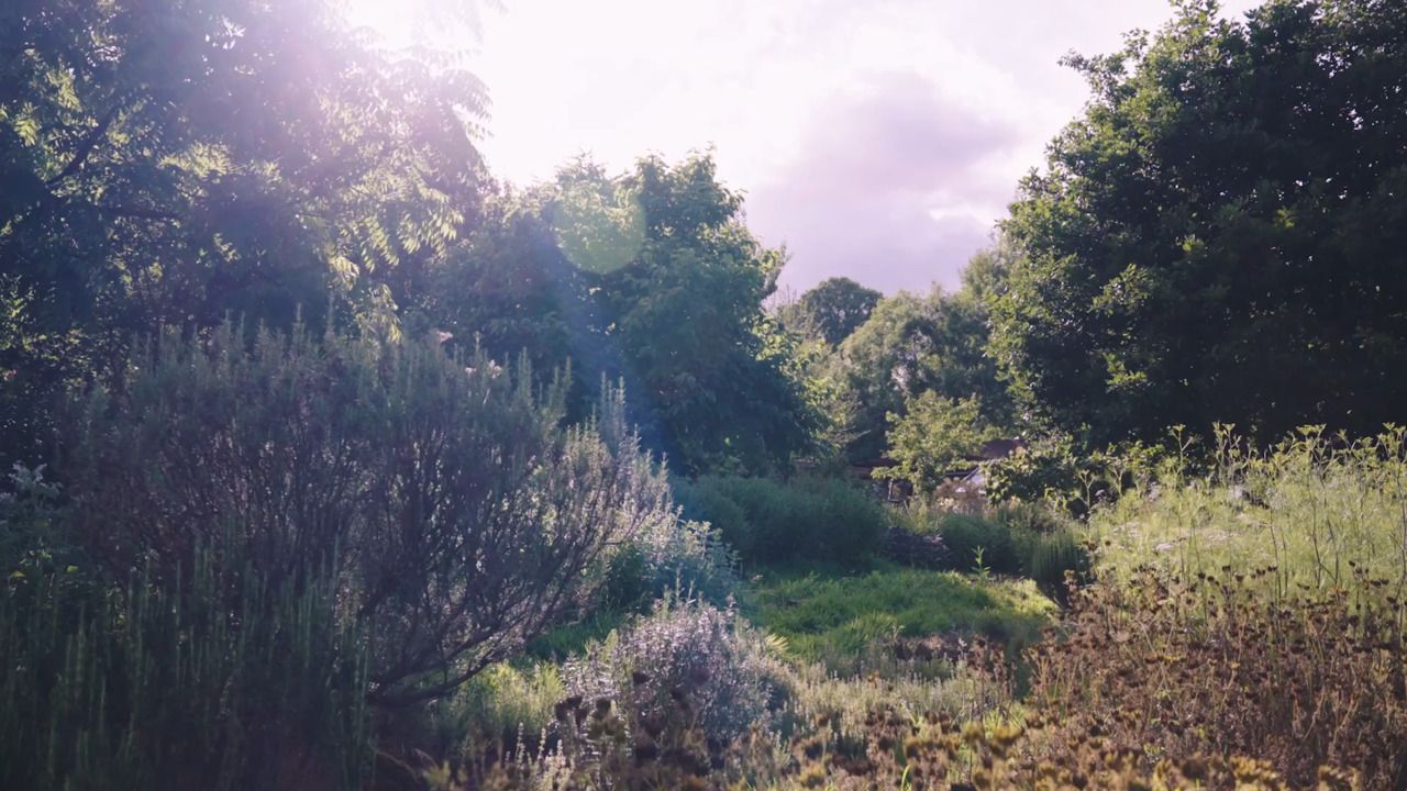 An introduction to summer