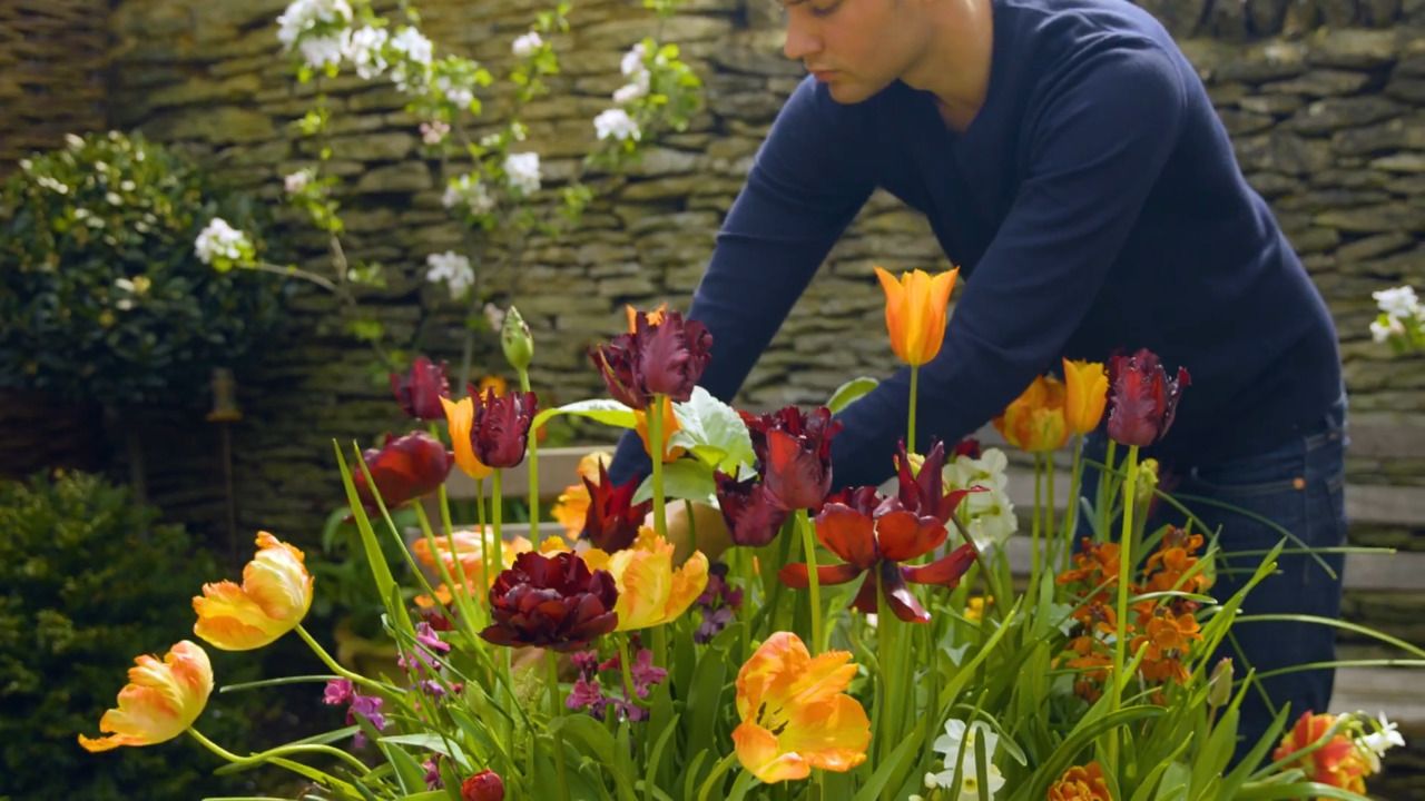 Cutting from the garden - part 2