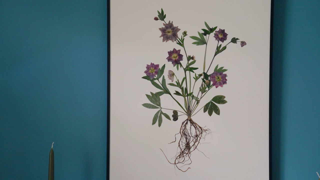 Botanical flower pressing