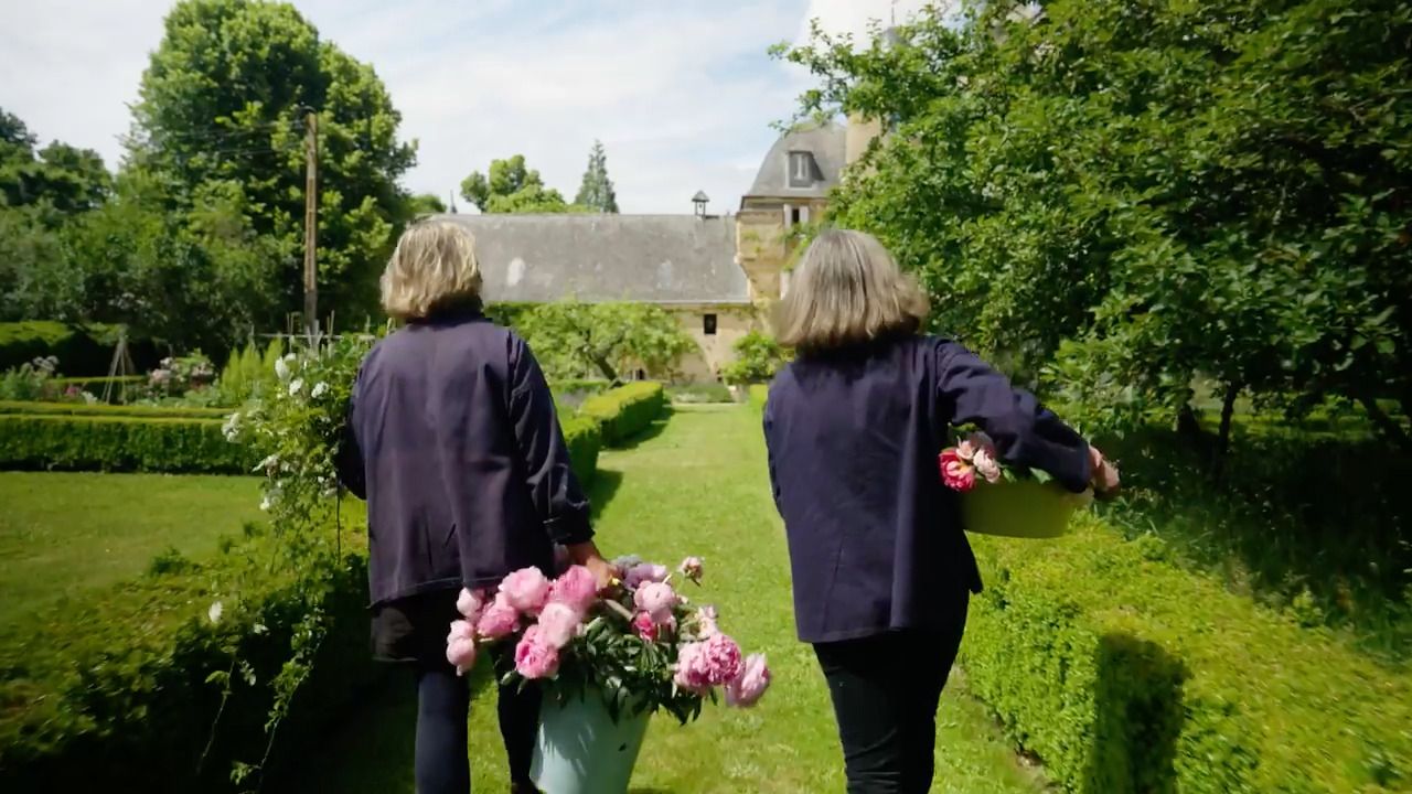 Go-to cut flowers in summer - Part 1: Peonies, cosmos, Verbena bonariensis and valerian