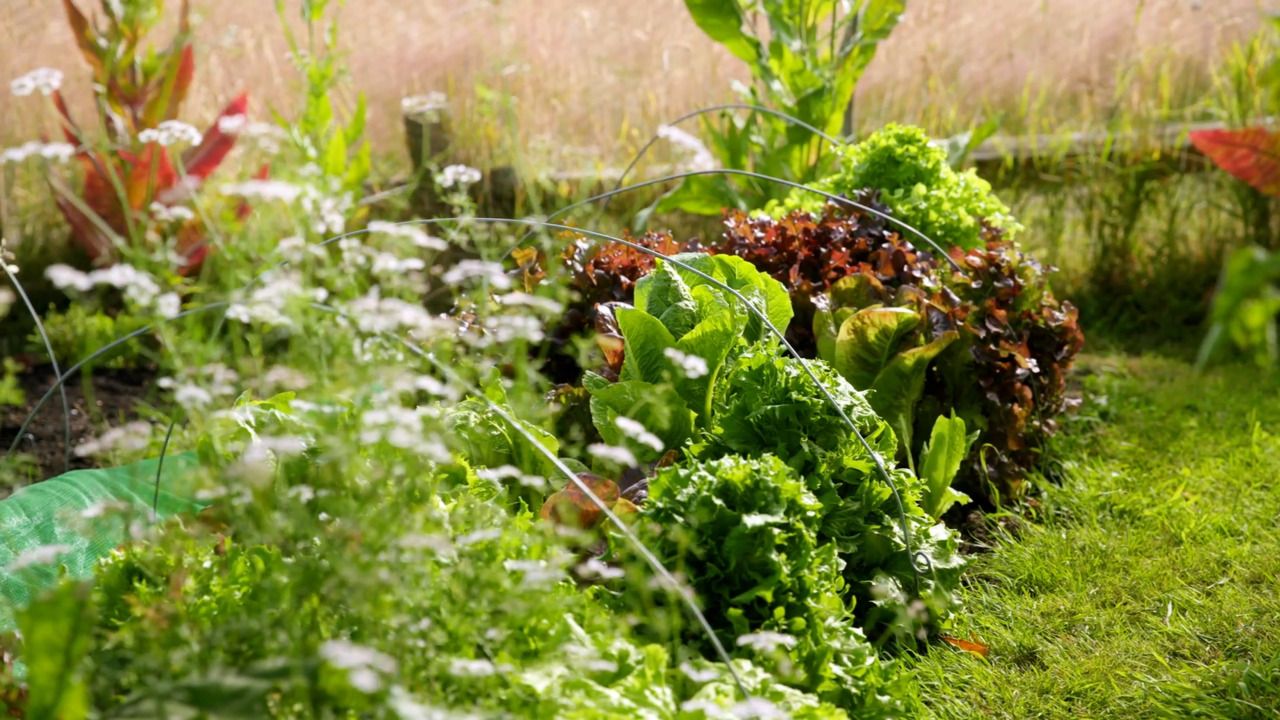 How to choose what to grow