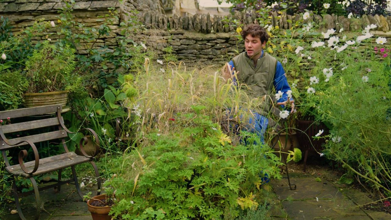 A bulb lasagne - part 1: removing the summer show