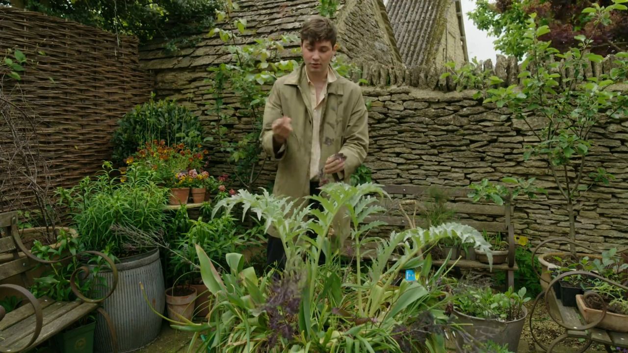 Planting the big copper up for summer - part 1