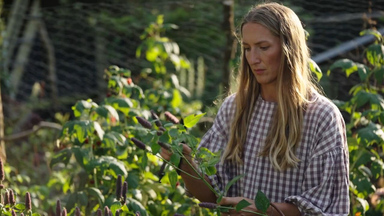 When and how to harvest
