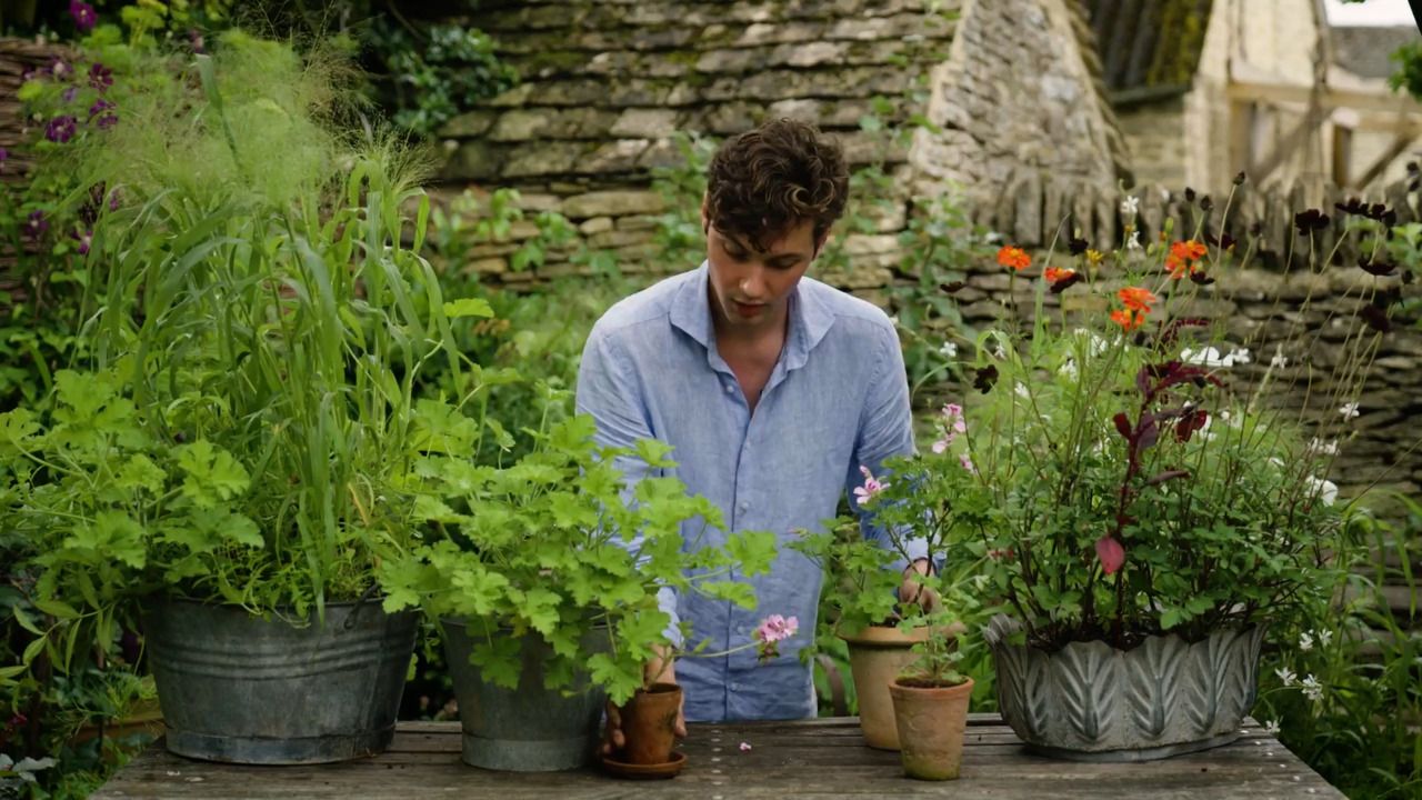 Arthur’s favourite pots