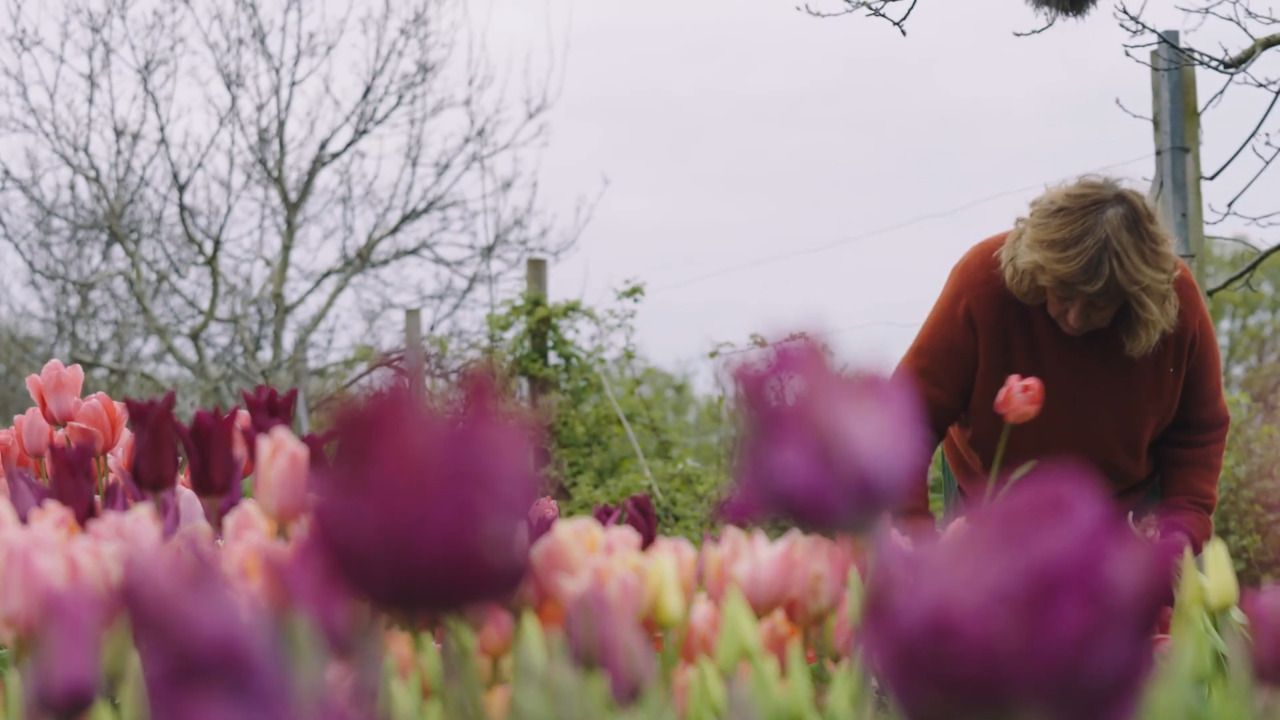 Biodynamic growing - Part 1: An introduction to biodynamics