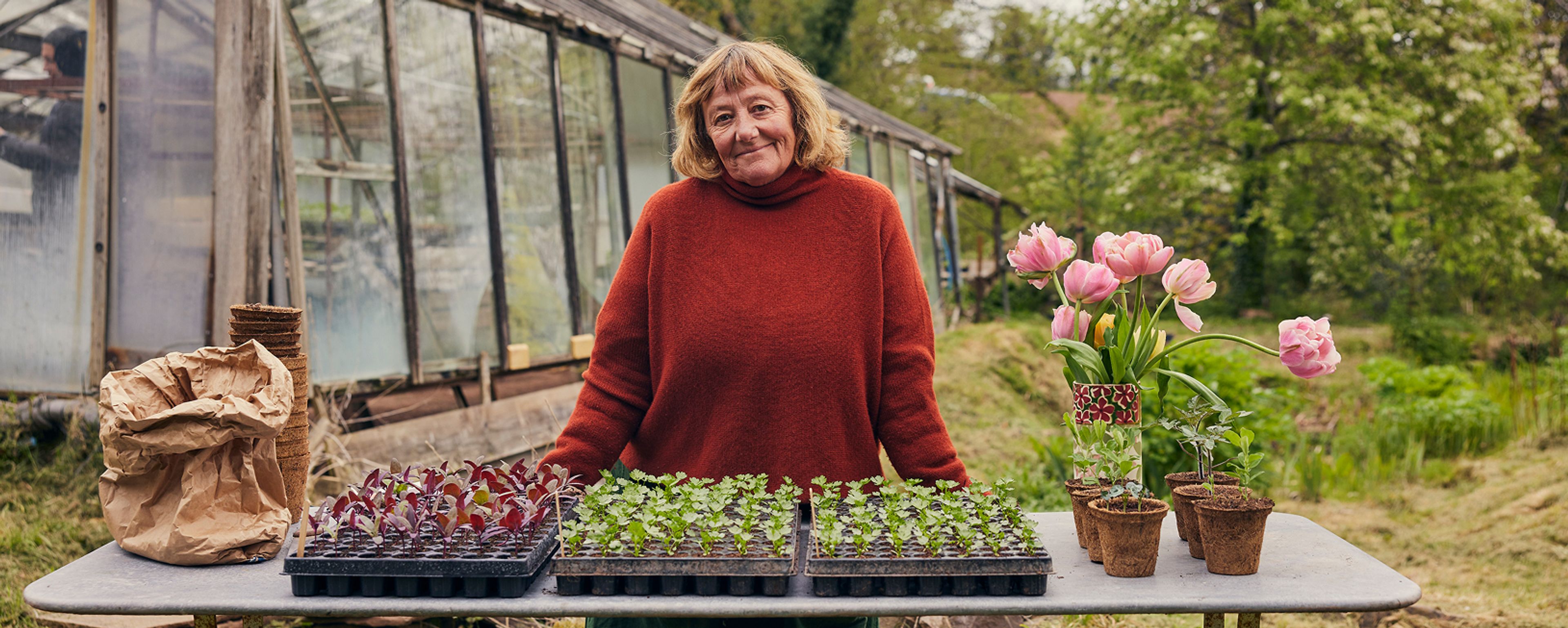 Jane Scotter