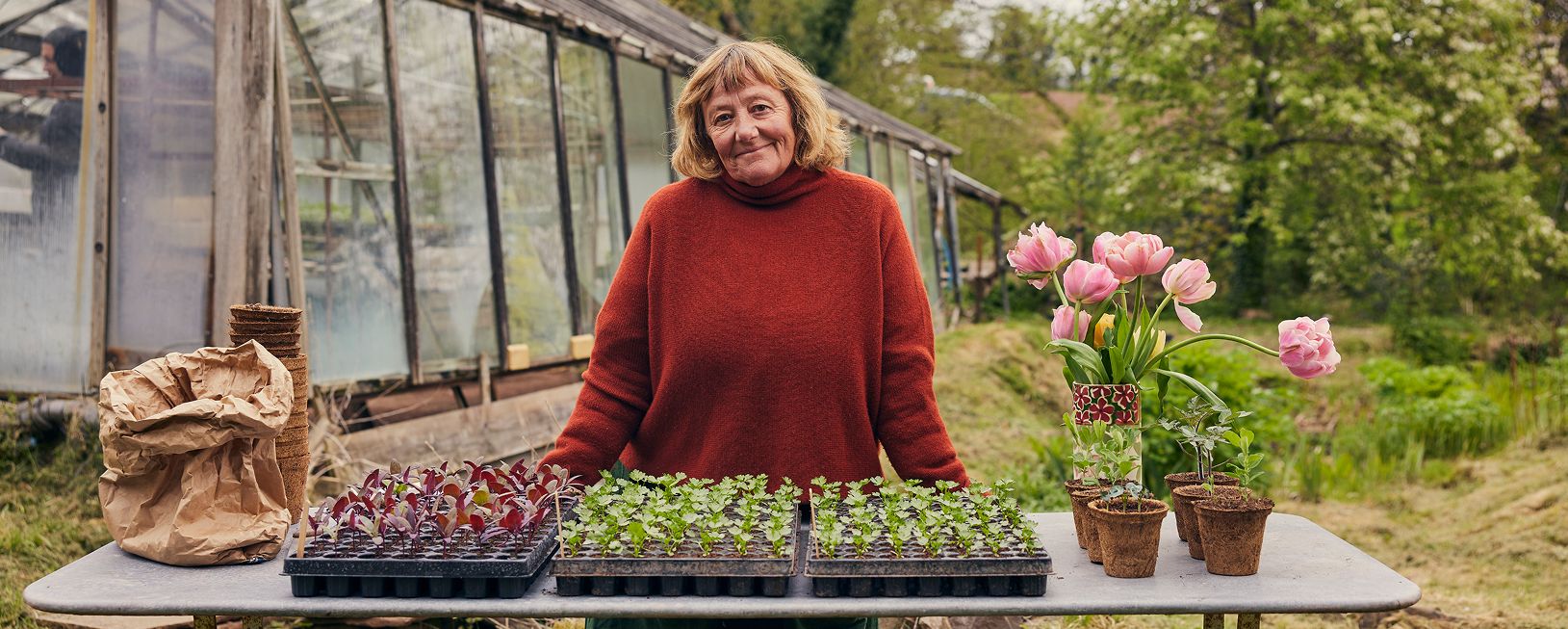 Jane Scotter