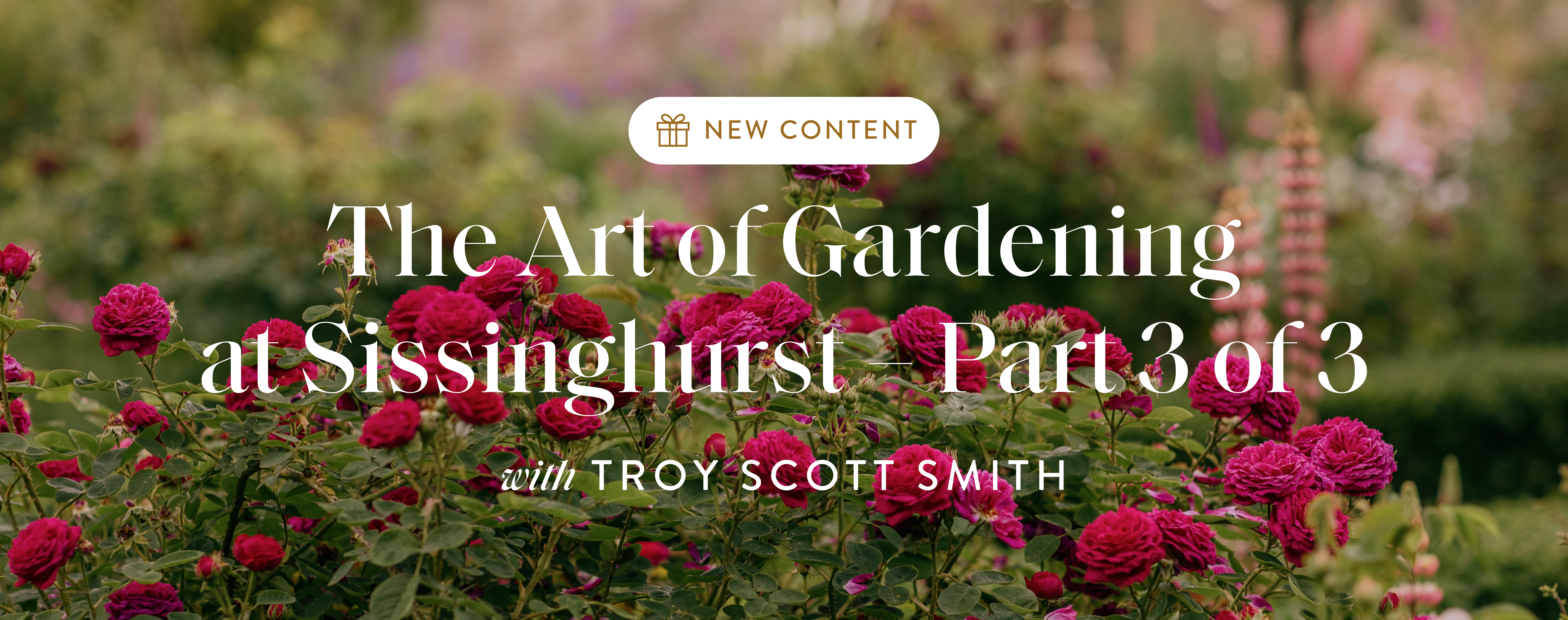 15% Off Creative Courses