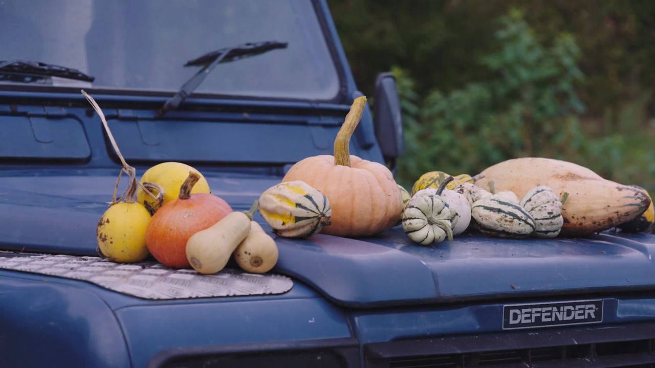 Growing vegetables: Squashes, pumpkins and gourds 