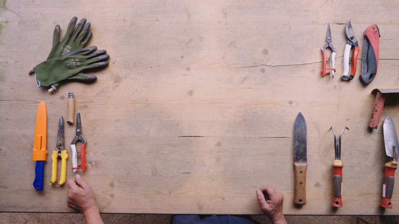 The equipment you’ll need