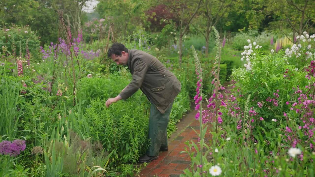 Troy’s take on the ‘Chelsea chop’