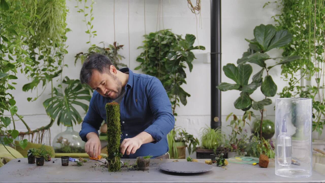 Growing on branches - part 2