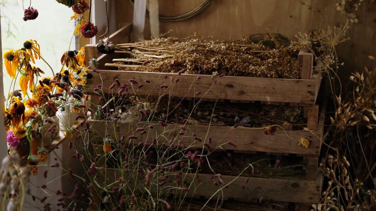 How to store and care for your dried flowers