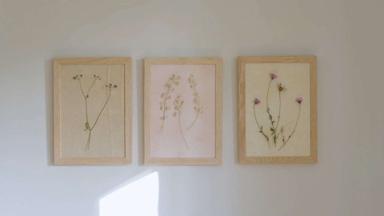 Framed dried flowers on fabric 