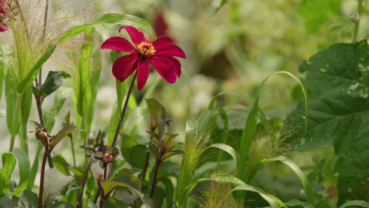 Filling pots with home-grown combinations