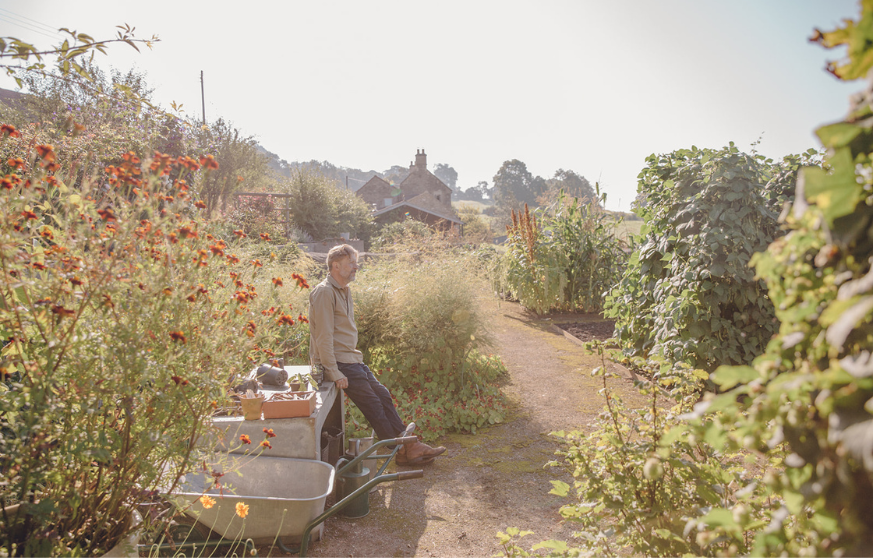 Dan Pearson Online Course