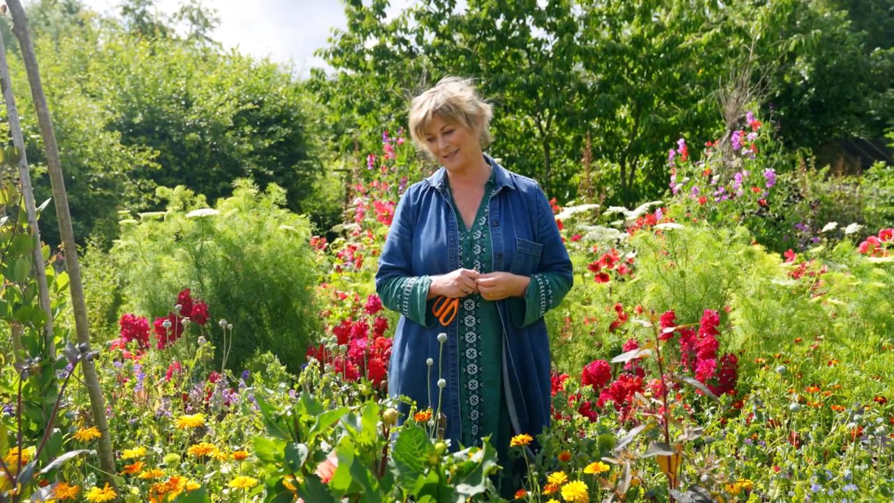 The cutting patch in July