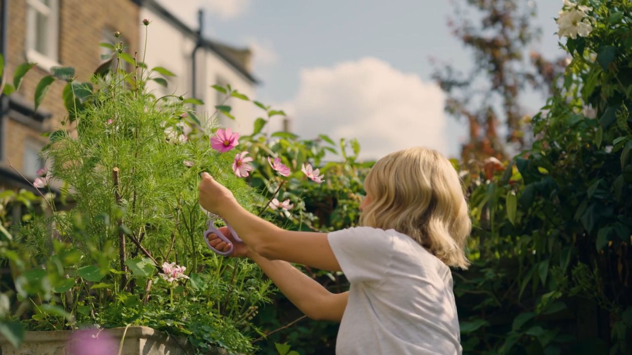 Getting started with flower pressing