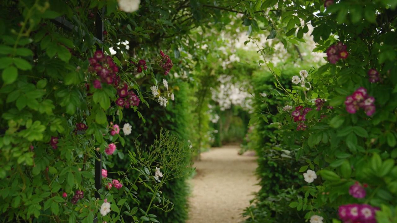 Order, beauty and chaos