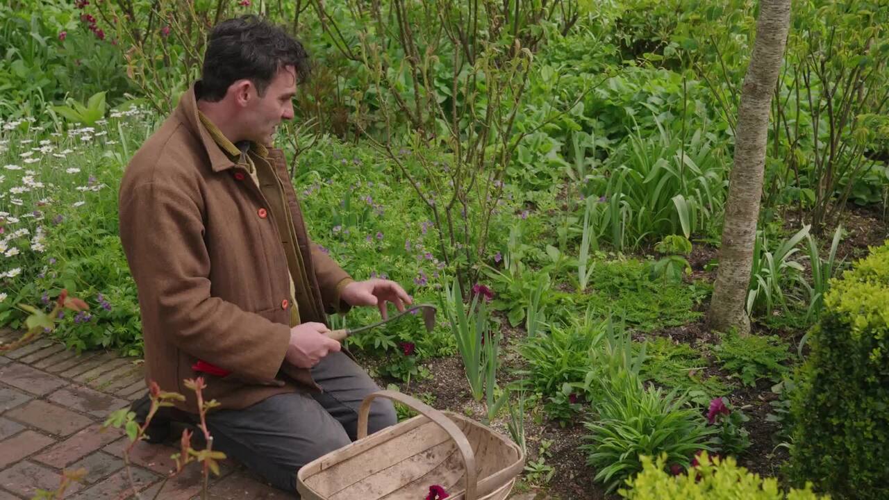 Troy’s essential tools for weeding