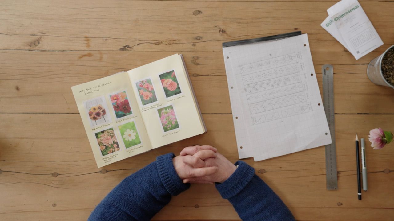 What to consider before you start sowing