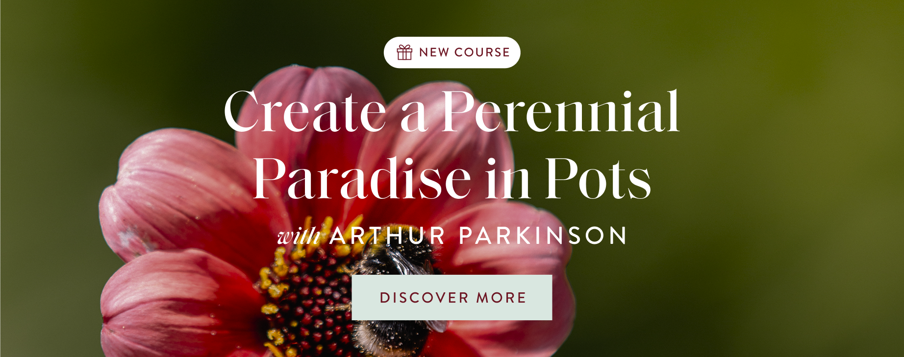 APRIL SALE - Arthur 2 launch