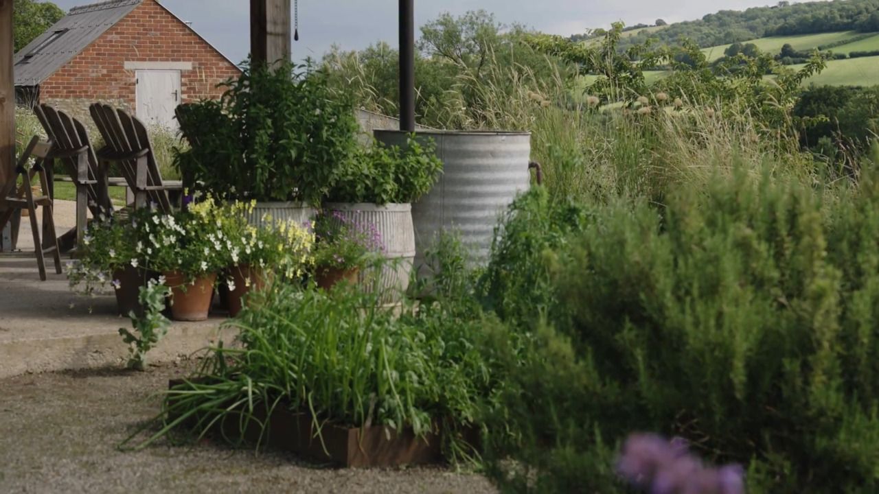 Hillside: planting design - part 4