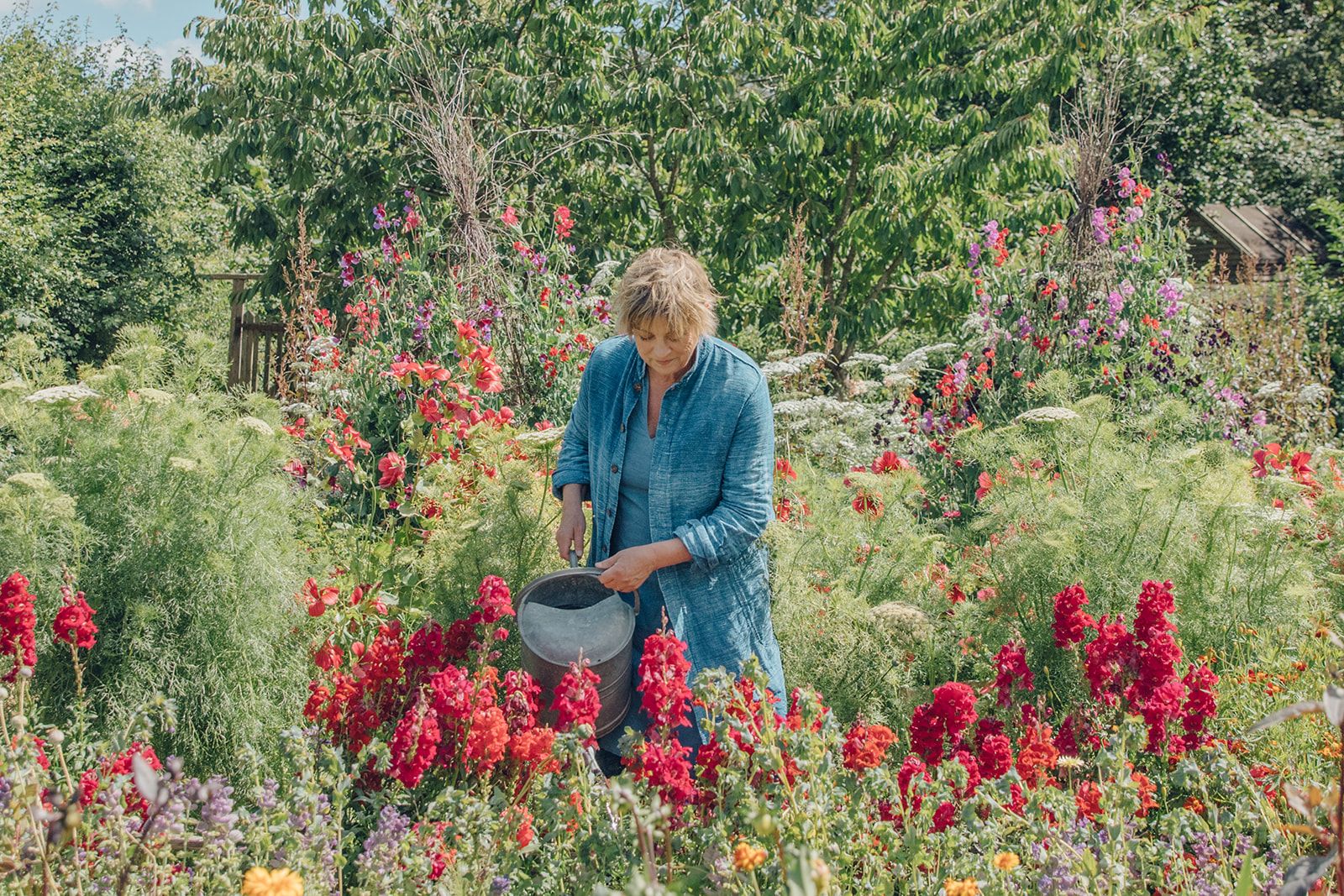Sarah Raven waters her red snapdragons at her Perch Hill farm. 