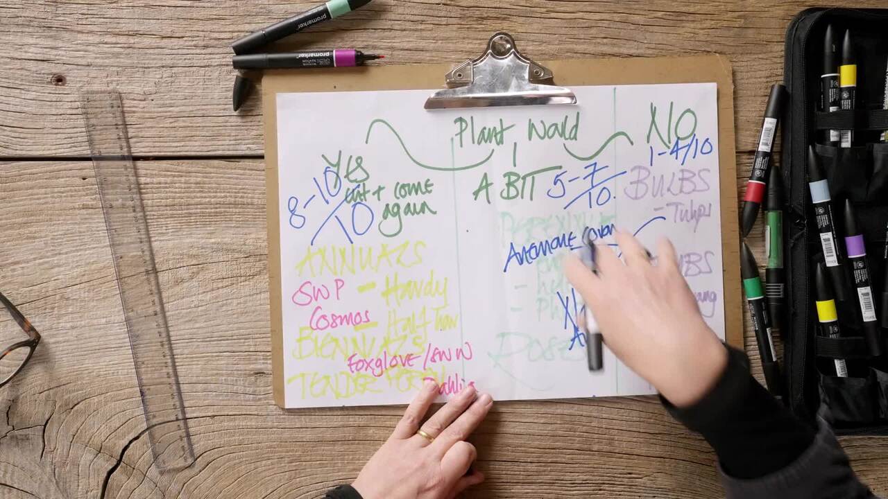 The magic of cut-and-come-again flowers