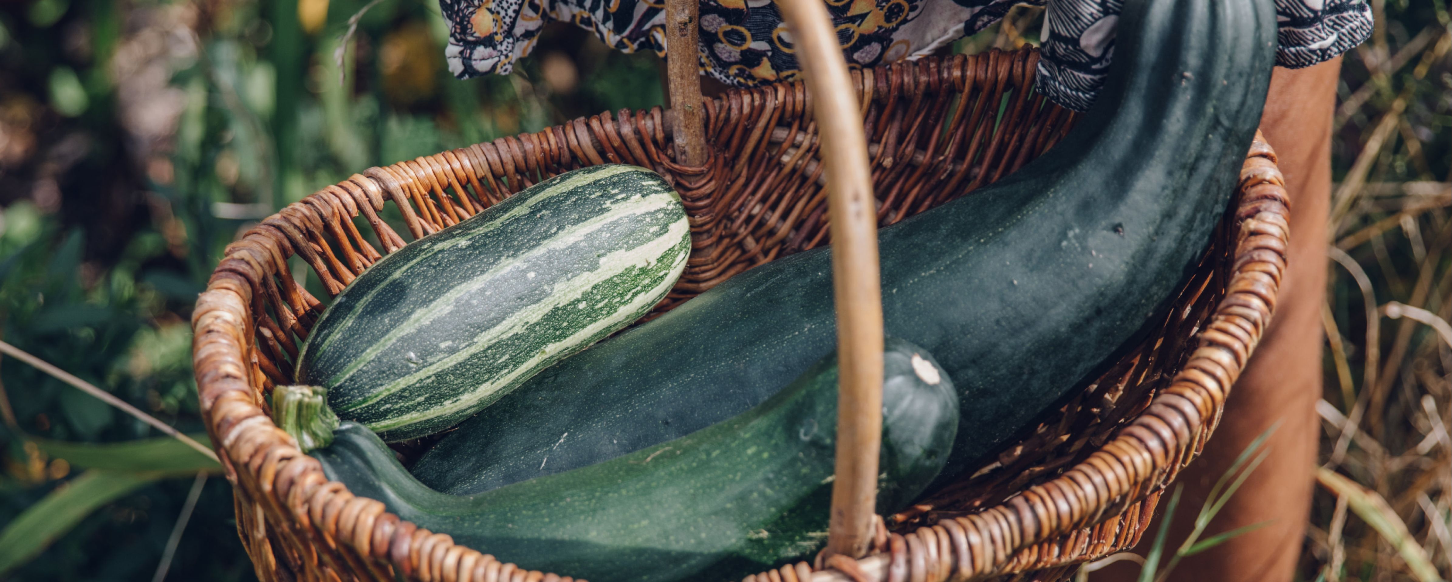 Courgette