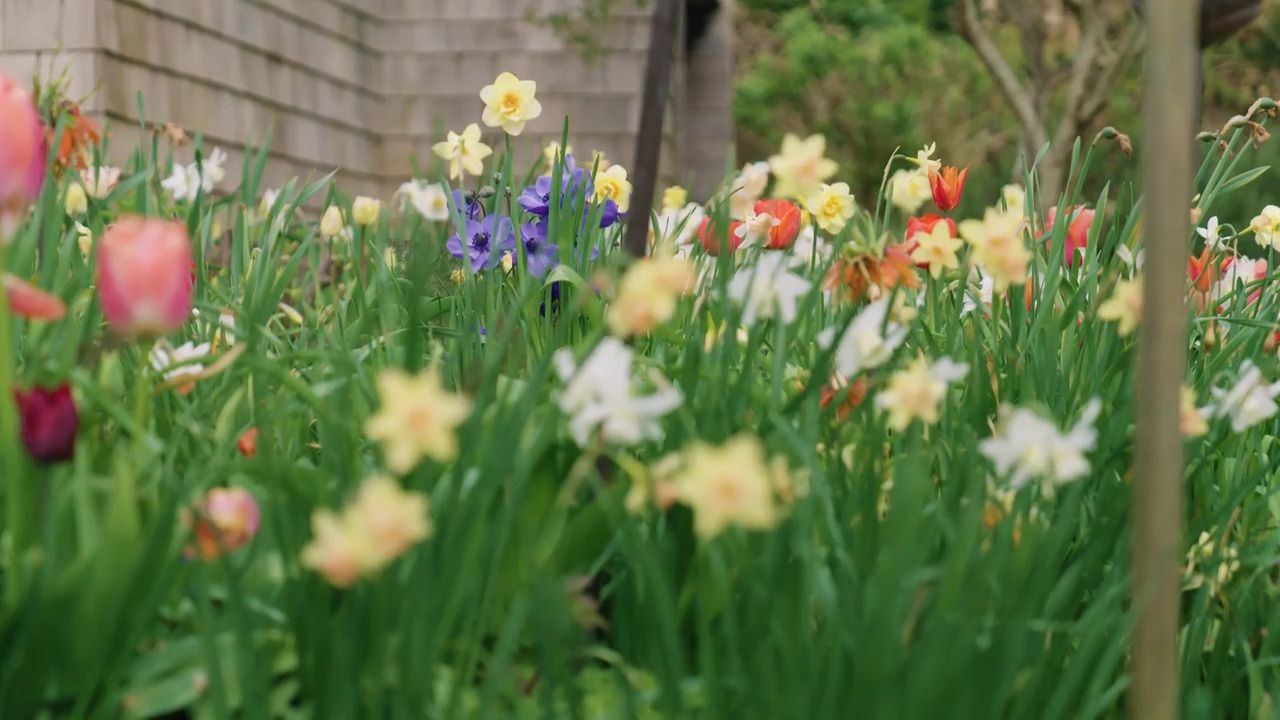 Walking through the planting