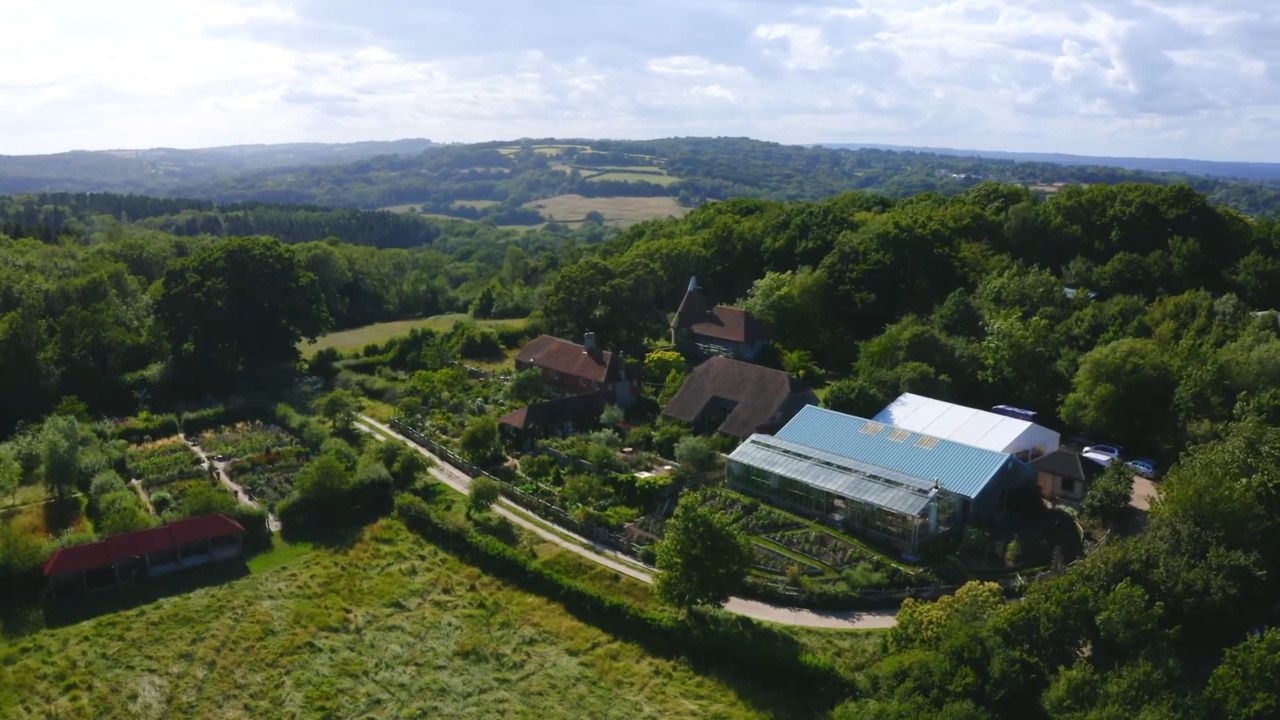 The cutting patch in September 