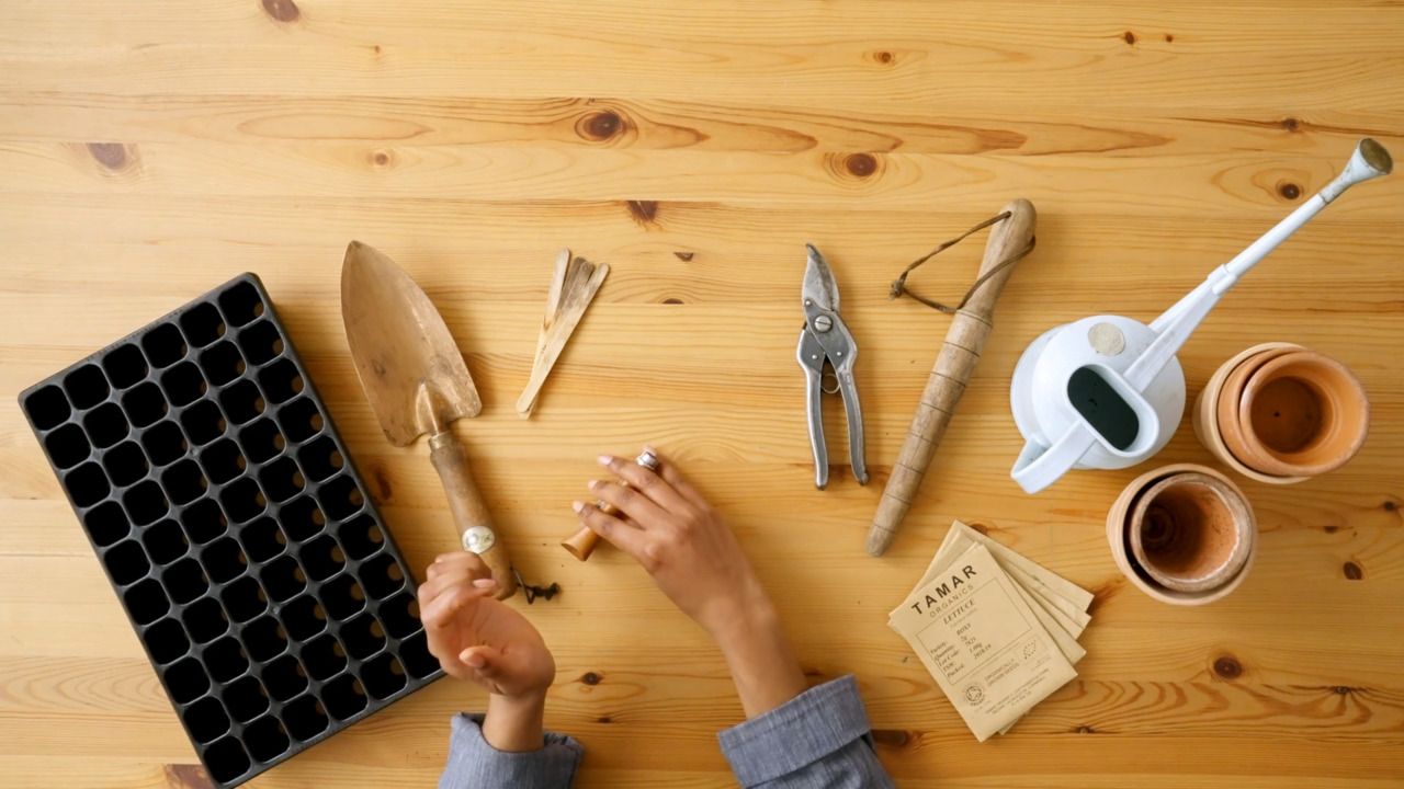 Claire’s essential toolkit 