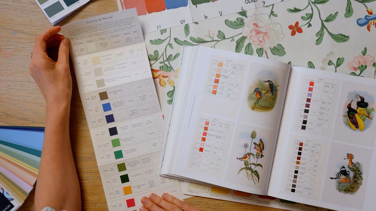 Creating a colour palette