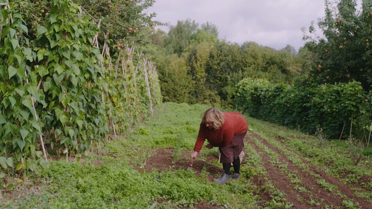 Growing vegetables: Harvesting your onions 