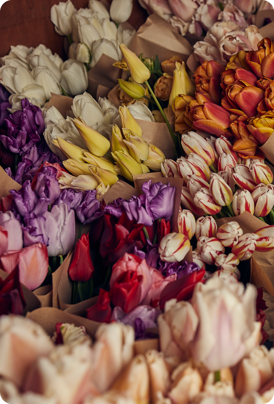 SPRING SALE promotional image