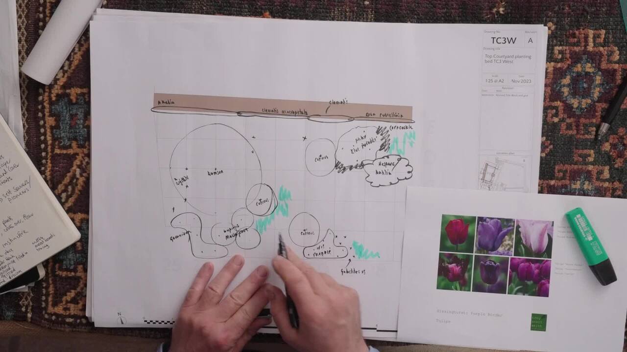 Creating a planting plan from scratch part 4: Annuals, biennials and bulbs