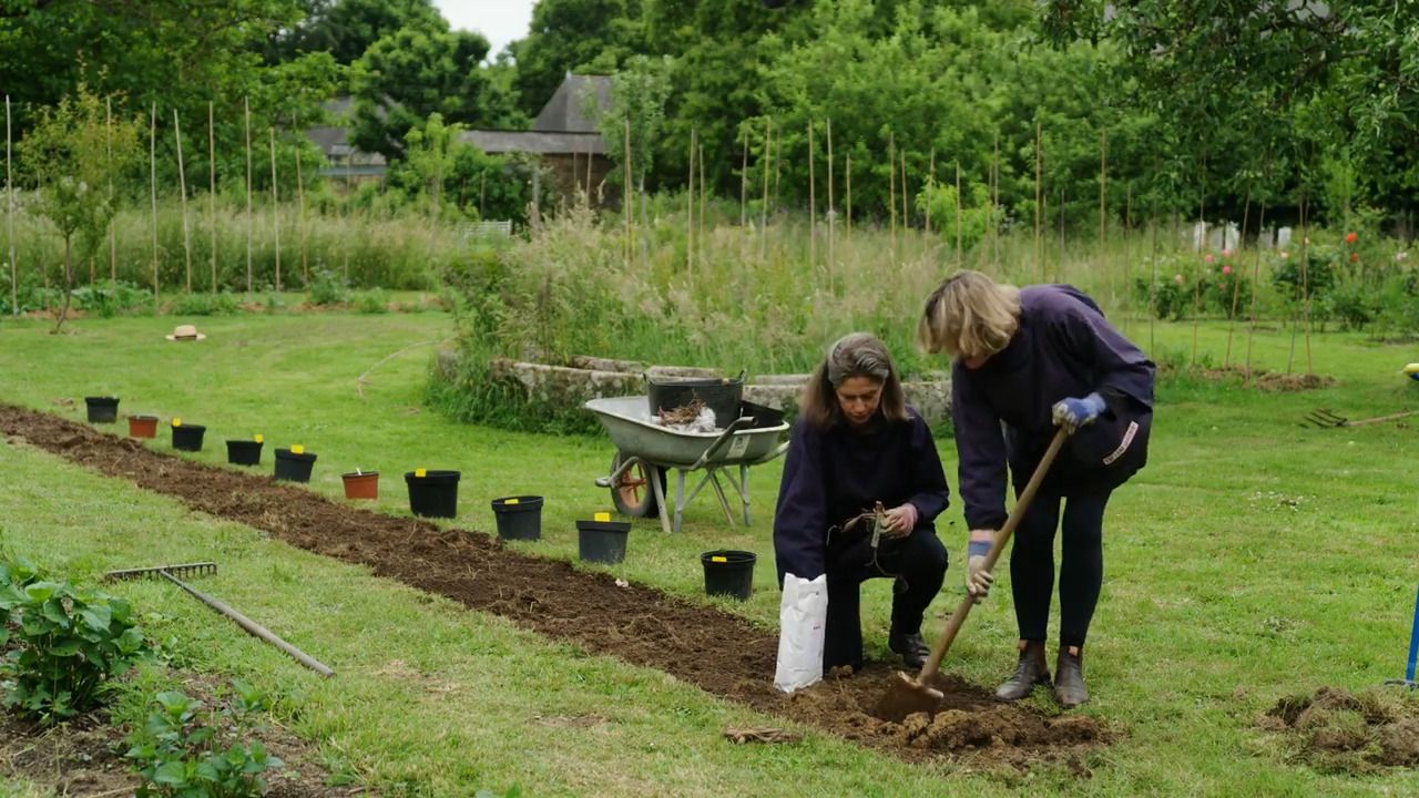 Dahlias - Part 1: Planting